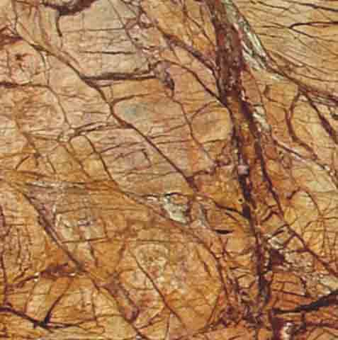 Forest Brown