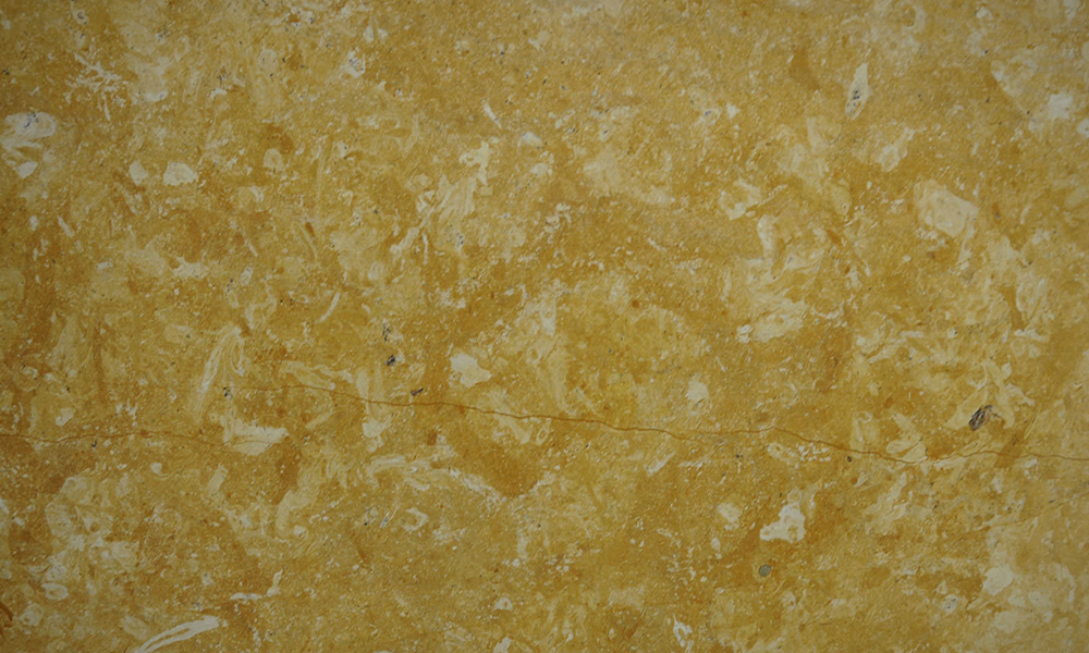 Fossil Gold Granite Detail