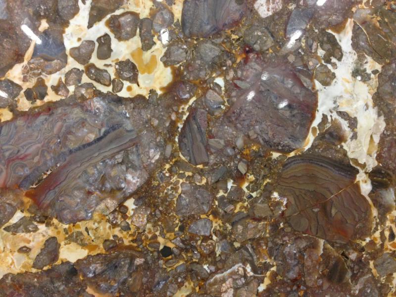 Breccia Fenicia