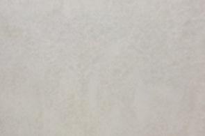 Invisible White