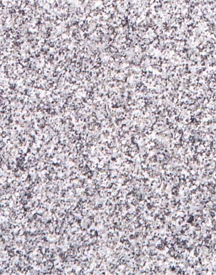 Silver White