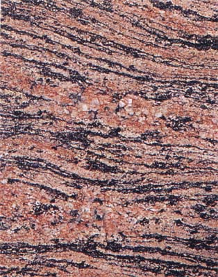 Tiger Skin